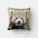 Suche nach panda kissen Modern