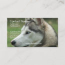 Suche nach heiser visitenkarten Hund