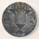 Recherche de léopard dessous de verres Animal sauvage