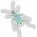 Recherche de beetle insect autocollants Nature