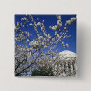Recherche de washington dc badges Fleur