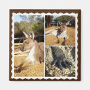 Recherche de kangourou magnets Marsupial