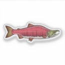 Suche nach laichen Fisch
