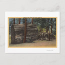 Recherche de calaveras cartes postales Arbres