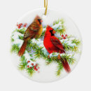 Suche nach weihnachtsvögel ornamente Winter