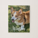 Recherche de chien de jouet puzzles Amis