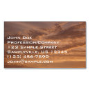 Recherche de nature abstraite cartes visite Rose