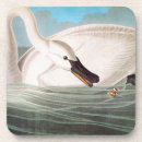 Suche nach john james audubon untersetzer Granger