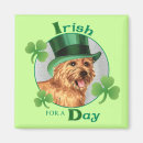 Suche nach st patrick tagest magnete Kleeblatt