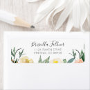Recherche de pêches et crème Aquarelle