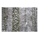 Suche nach baumstamm poster Kiefer