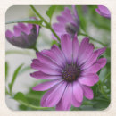 Suche nach garten party untersetzer Natur
