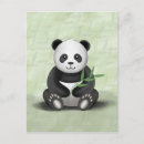 Recherche de ours noir cartes postales Bambou