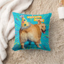 Recherche de chapeau coussins Chien