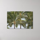 Suche nach kauai leinwandbilder Grün