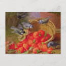 Recherche de oiseau mort cartes postales Oiseaux