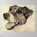 Suche nach jack russell terrier poster Tiere