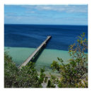 Suche nach sea life poster Ozean