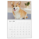 Recherche de chien drôle bureau fournitures Corgi