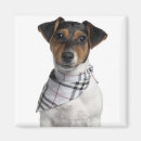 Suche nach alte kamera magnete Hund