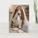Suche nach basset hound karten Haustier