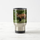 Suche nach roter fuchs tassen Wild