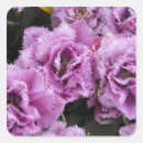 Suche nach keukenhof aufkleber Niederwerfen