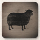 Suche nach black sheep Schwarzschaf