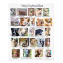 Recherche de race chien posters Amoureux des chiens