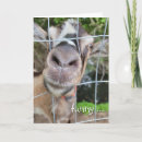 Suche nach nose karten Spaß