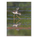 Recherche de écharpe vœux cartes Bébé