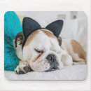 Suche nach schläfrig mousepads Tiere