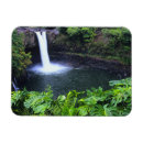 Recherche de végétation magnets Tropical