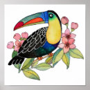 Recherche de toucan posters Oiseau exotique