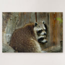 Recherche de raccoon puzzles Nature