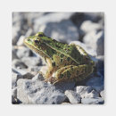 Suche nach grüner frosch magnete Frostig