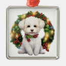 Recherche de frison ornements Bichon