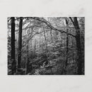 Recherche de forêt noire cartes postales Paysage