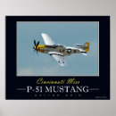 Suche nach p 51 poster Luft