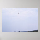 Suche nach hawker poster Tierwelt
