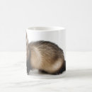 Recherche de le furet tasses Animal