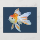 Recherche de poissons rouges cartes postales Fantastique