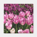 Recherche de tulipes pourpres magnets Nature
