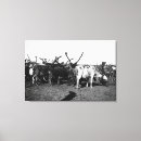 Recherche de renne photographie L'alaska