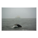 Suche nach tall ship poster Hochschiff