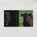 Recherche de vache angus cartes visite Vaches