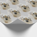 Suche nach grenzterrier Niedlich