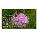 Recherche de chardon cartes visite Nature