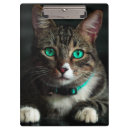 Suche nach blaue augen klemmbrett Niedlich