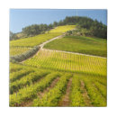 Recherche de croissance carreaux Images gallo